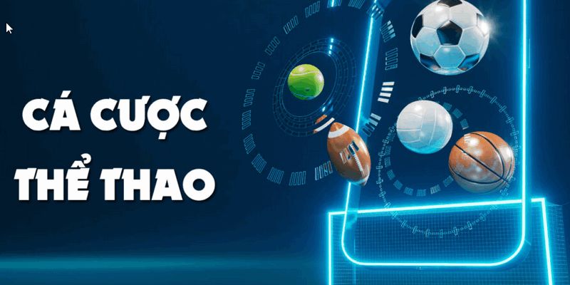 Thể thao ảo Net88 Những lưu ý khi chơi Thể thao ảo Net88