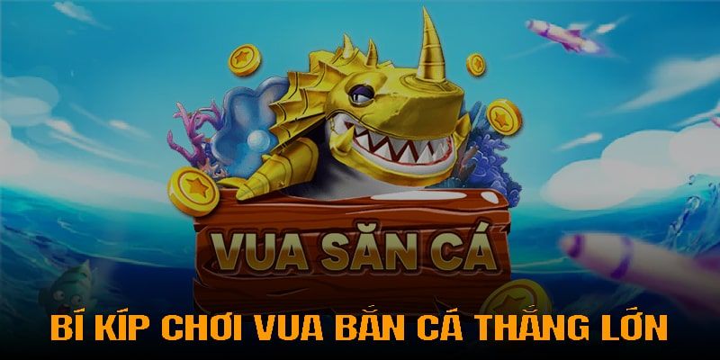 Vua bắn cá Làm Sao Để Tối Ưu Hóa Kinh Nghiệm Chơi Vua Bắn Cá Tại Net88